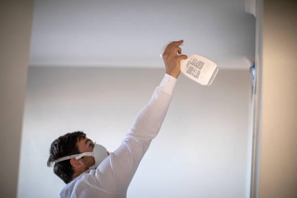 Best Mold Remediation Services  in Cleveland, NC