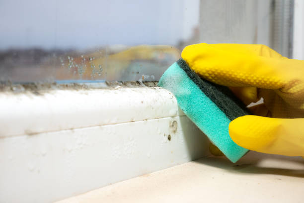Best Office Mold Removal Services  in Cleveland, NC