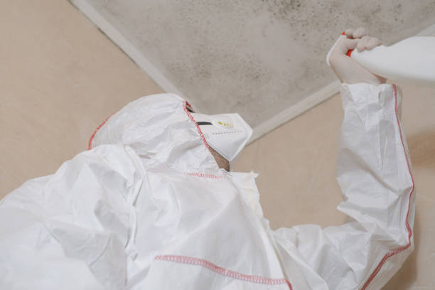 Best Mold Cleaning Services  in Cleveland, NC