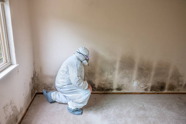 Best Residential Mold Removal  in Cleveland, NC